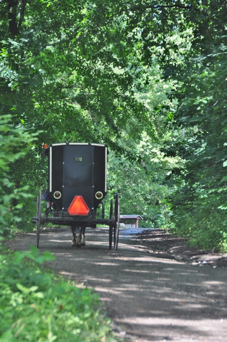 Amish buggy approaching the Bridge of Dreams